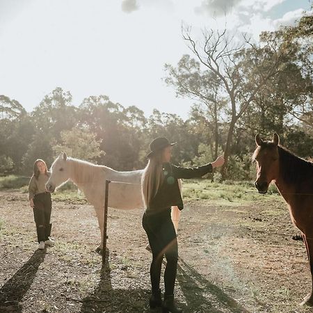 Hunter Valley Retreat Quorrobolong Ngoại thất bức ảnh