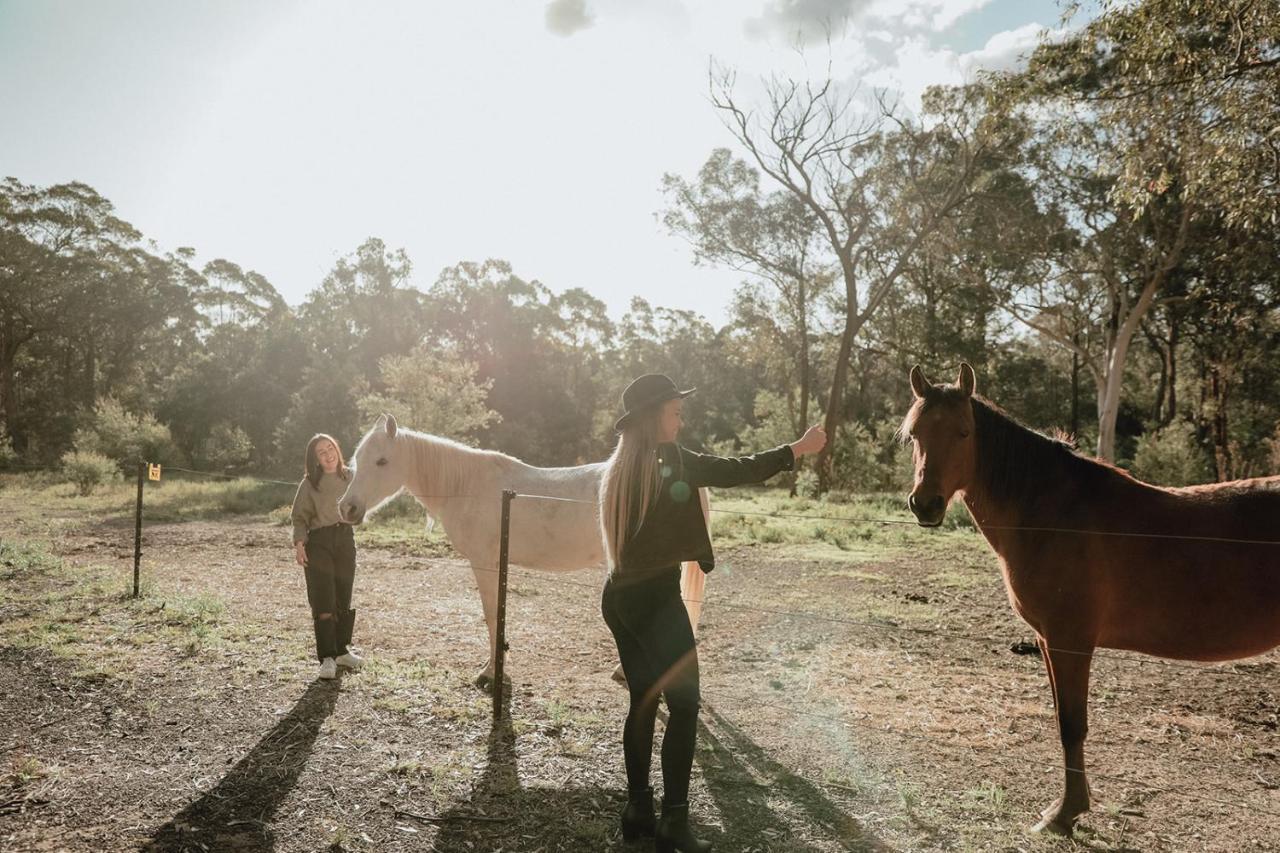 Hunter Valley Retreat Quorrobolong Ngoại thất bức ảnh