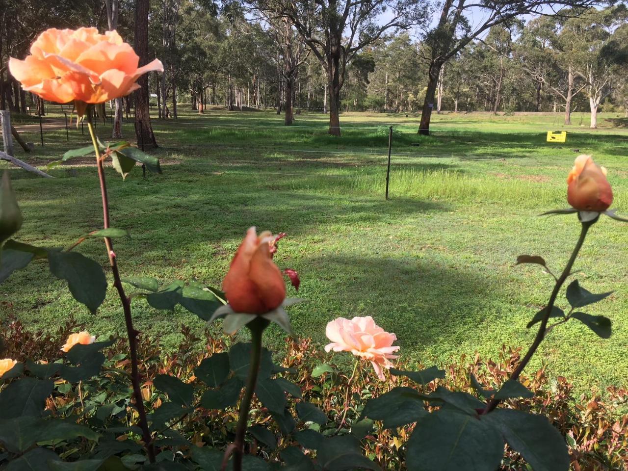 Hunter Valley Retreat Quorrobolong Ngoại thất bức ảnh