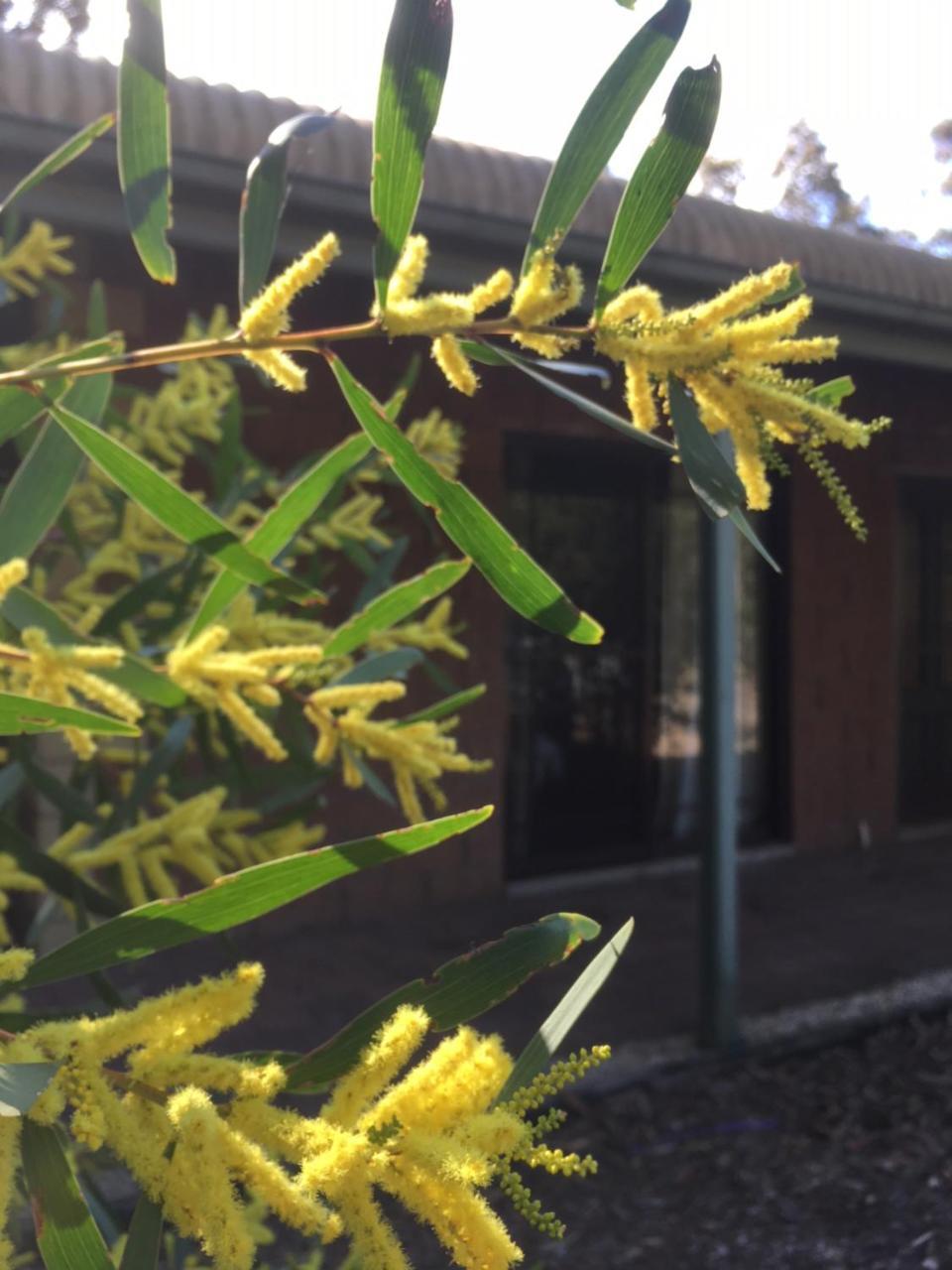 Hunter Valley Retreat Quorrobolong Ngoại thất bức ảnh