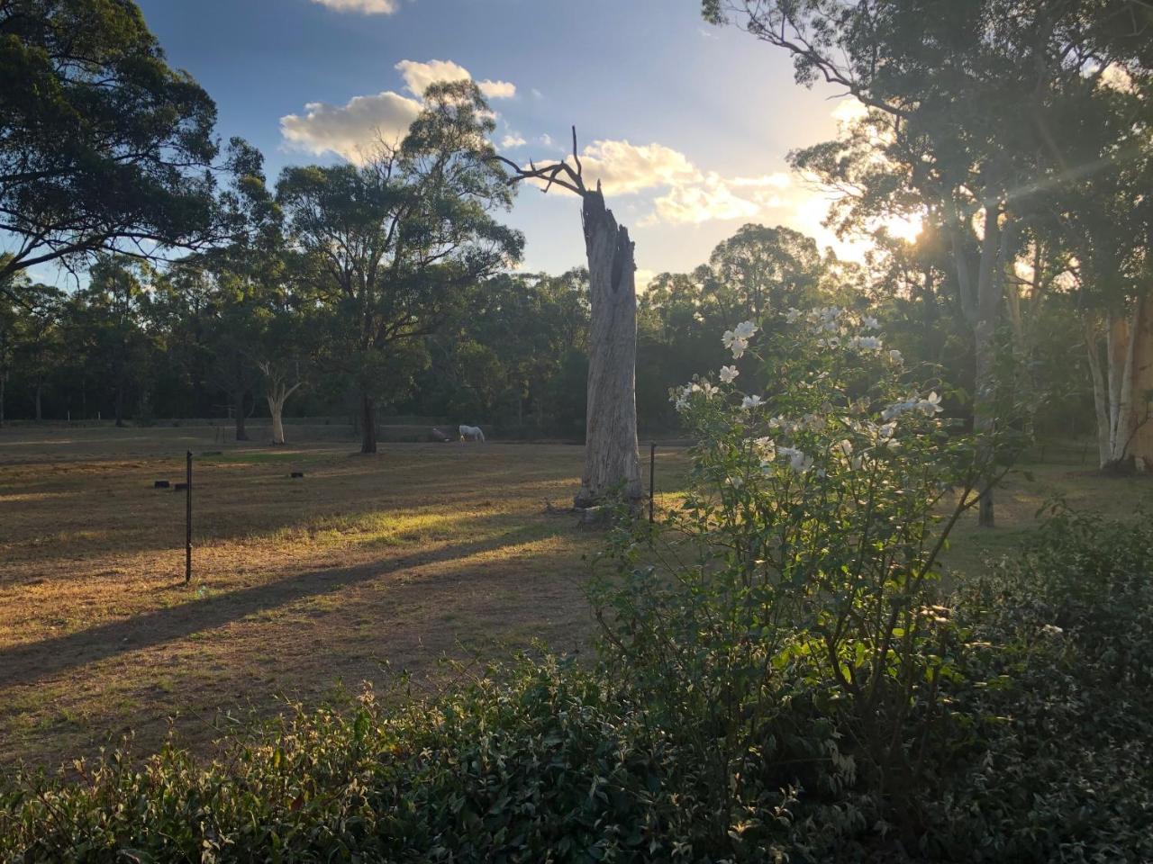 Hunter Valley Retreat Quorrobolong Ngoại thất bức ảnh